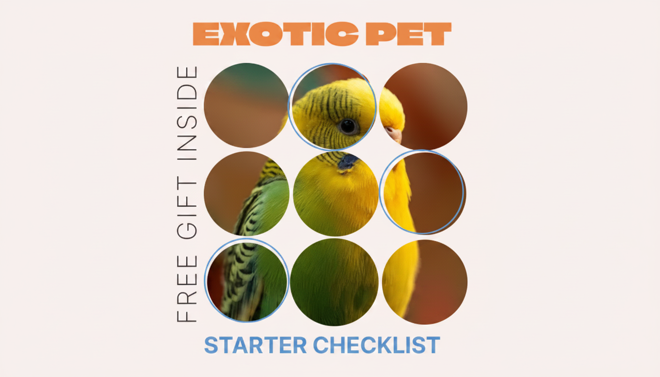 Exotic Pet Starter Checklist: Habitat, Feeding & Care