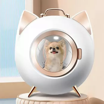 Reset a Smart Pet Feeder Button: Quick Steps & Fixes