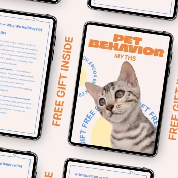 Pet Behavior Myths Debunked: Train Better, Bond More